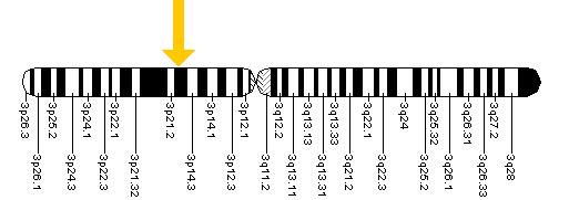 De plaats waar het SCN5a gen zich bevindt: op de korte arm (p) van chromosoom 3.