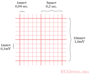 Squared Paper: 10 mm (250)