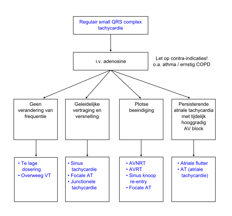 effect-van-adenosine-ecgpedia